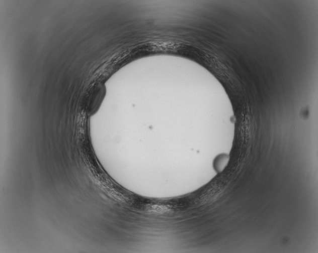X0000115490649200912041017