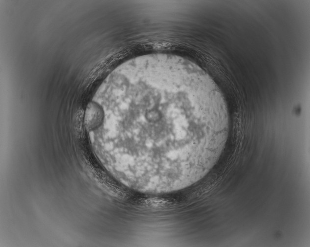 X0000115490650200912041017