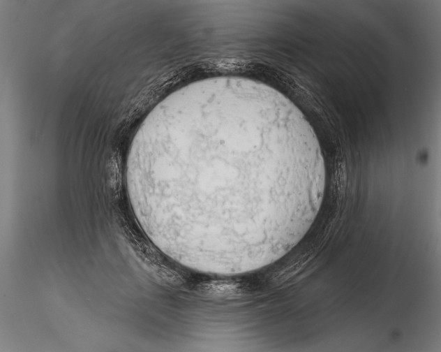 X0000115490651200912041017