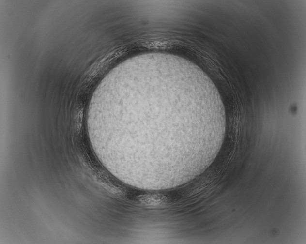X0000115490652200912041017