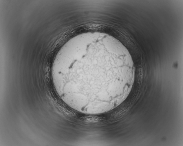 X0000115490653200912041017