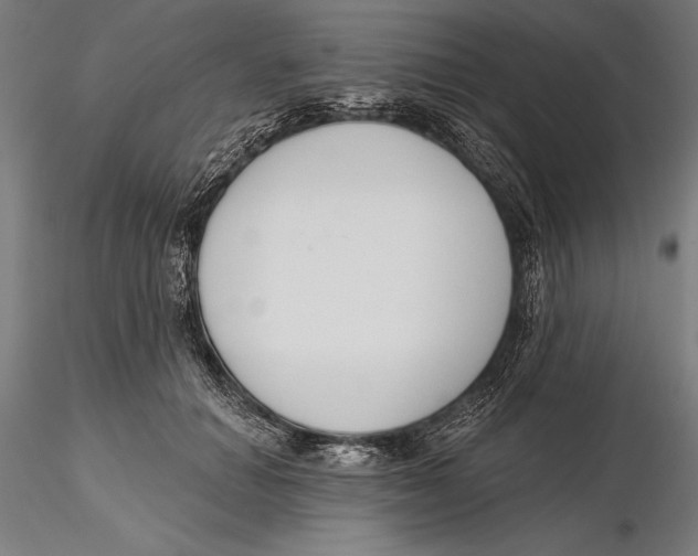 X0000115490654200912041017