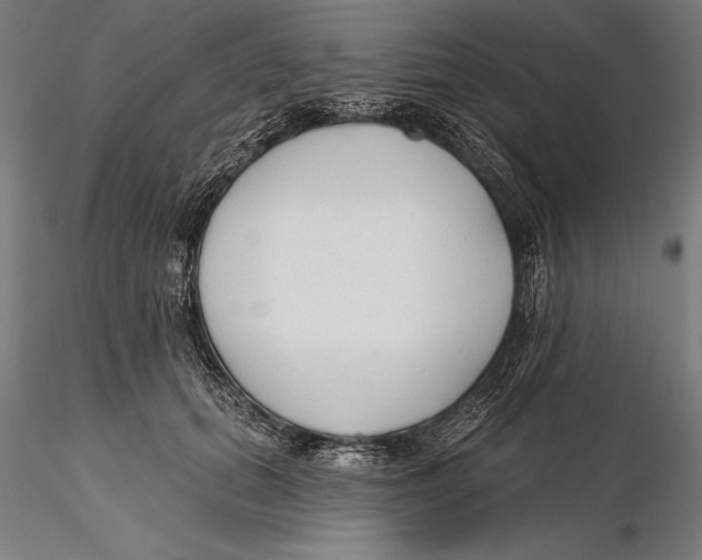 X0000115490655200912041017