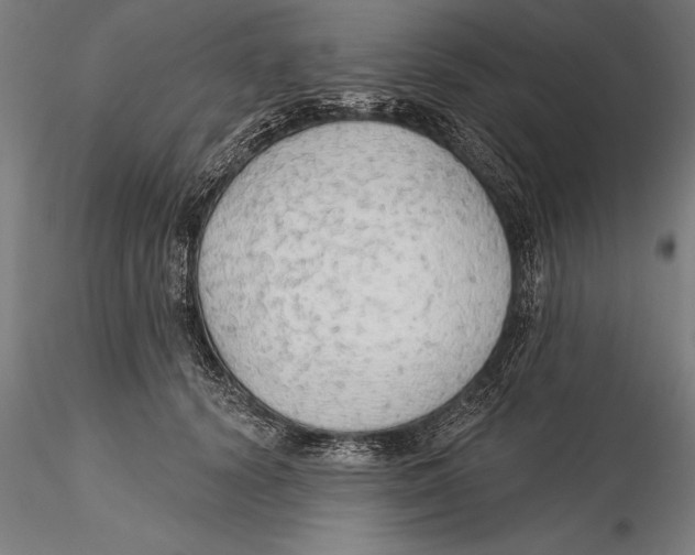 X0000115490656200912041017