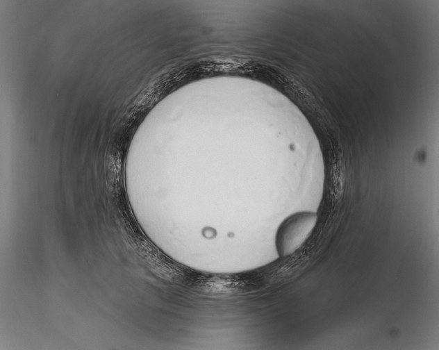 X0000115490657200912041017