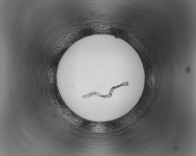 X0000115490658200912041017