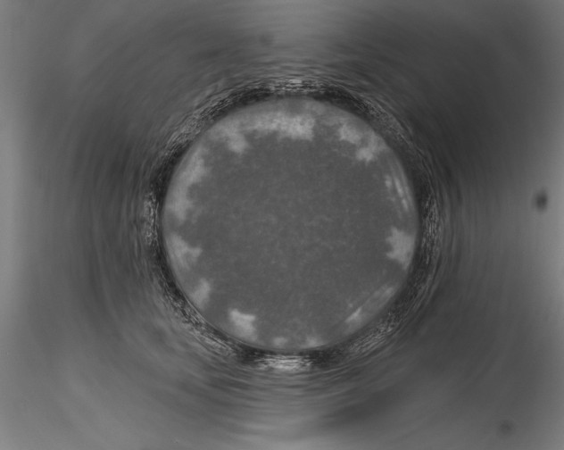 X0000115490659200912041017
