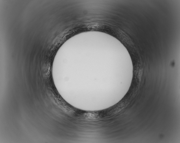 X0000115490660200912041017