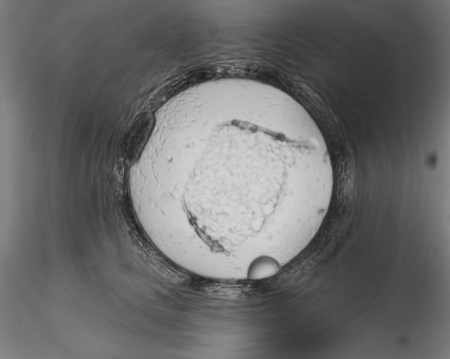 X0000115490661200912041017
