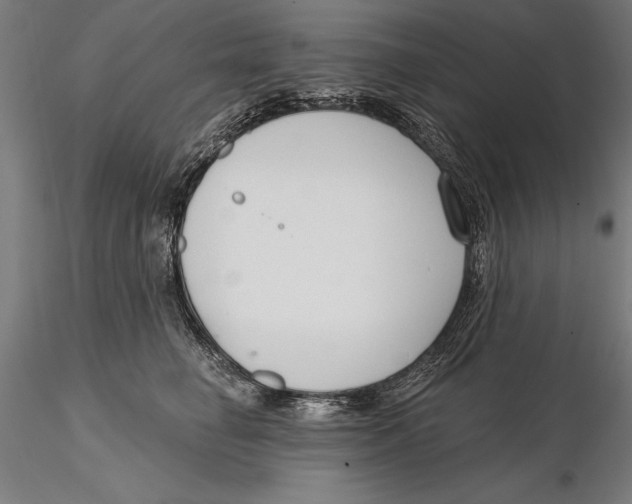 X0000115490662200912041017