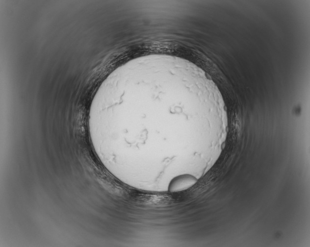 X0000115490663200912041017