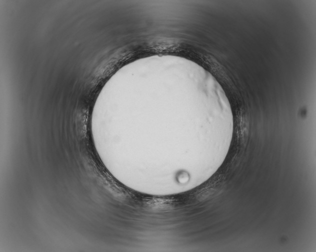 X0000115490664200912041017