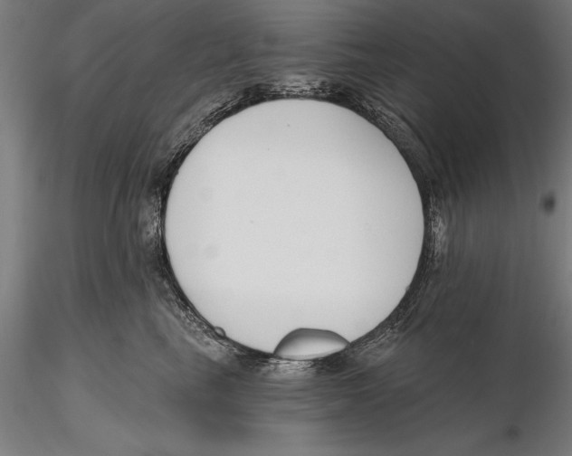 X0000115490665200912041017