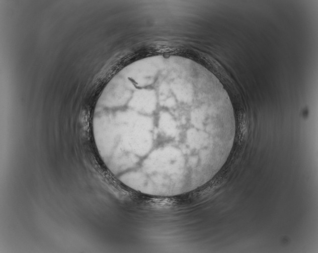 X0000115490667200912041017
