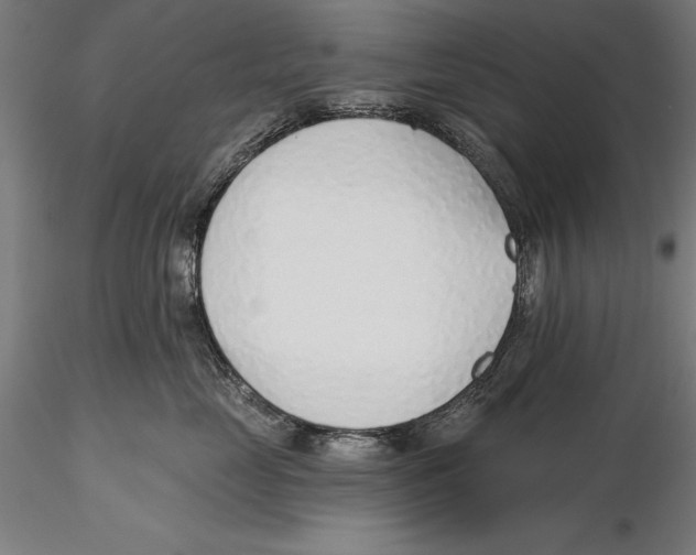 X0000115490669200912041017