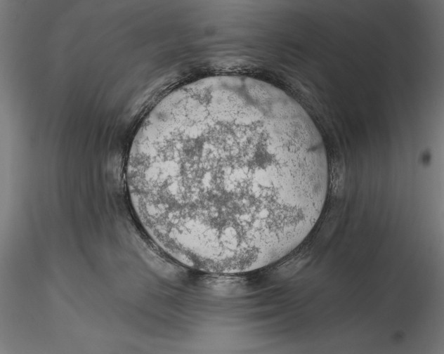 X0000115490670200912041017