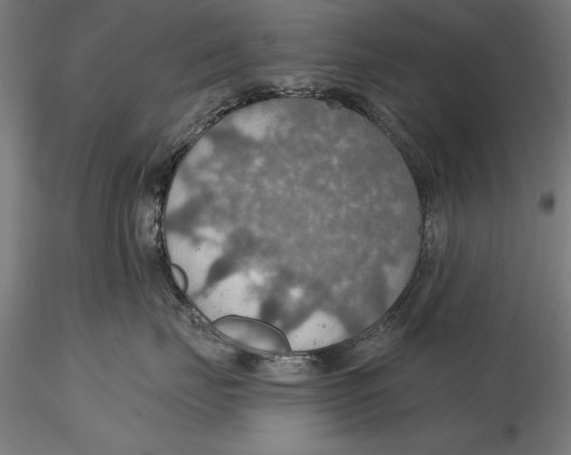 X0000115490671200912041017