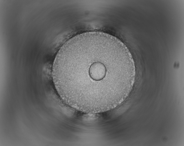 X0000115490672200912041017
