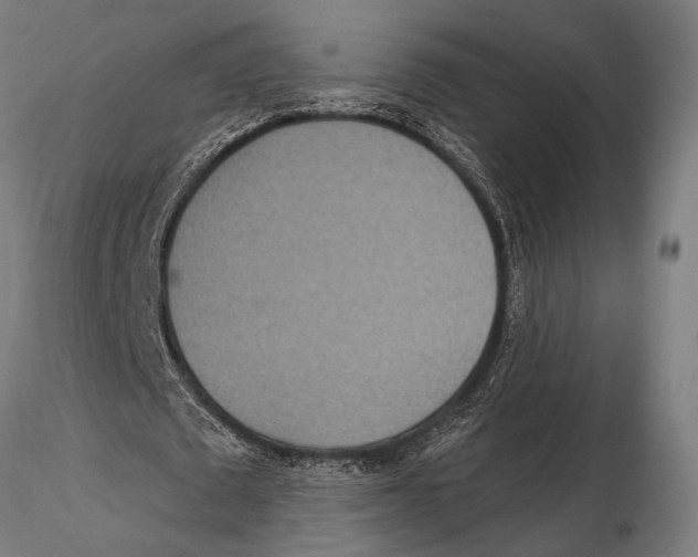 X0000115490673200912041016