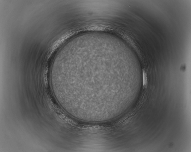 X0000115490675200912041016