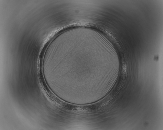 X0000115490678200912041016