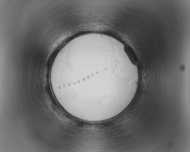 X0000115490679200912041016