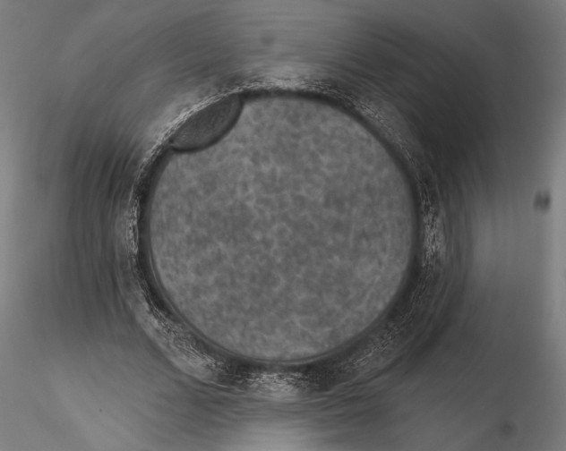 X0000115490680200912041016