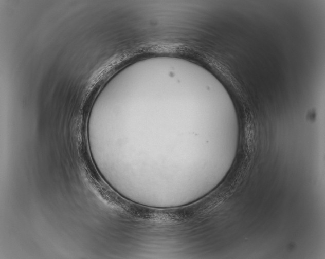 X0000115490682200912041016