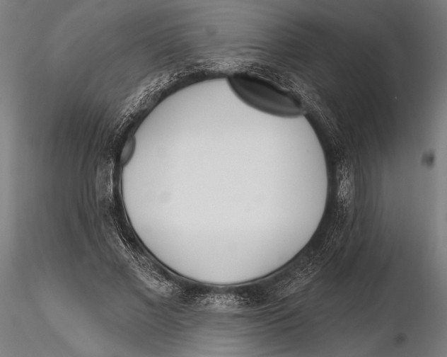 X0000115490685200912041016