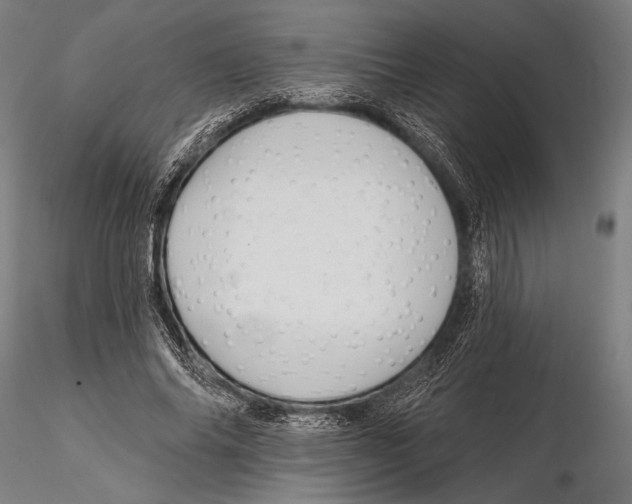 X0000115490686200912041016