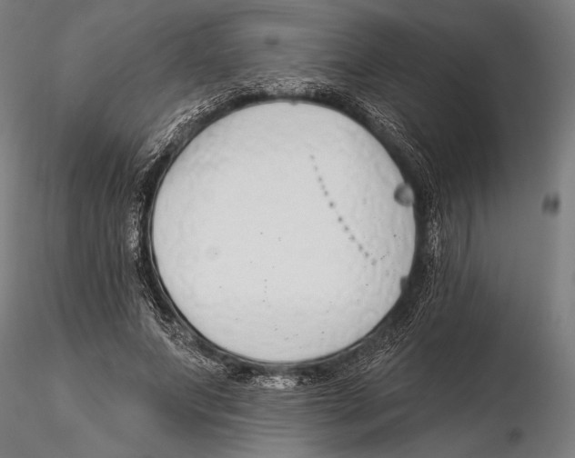 X0000115490687200912041016