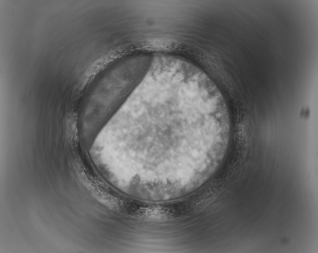 X0000115490688200912041016