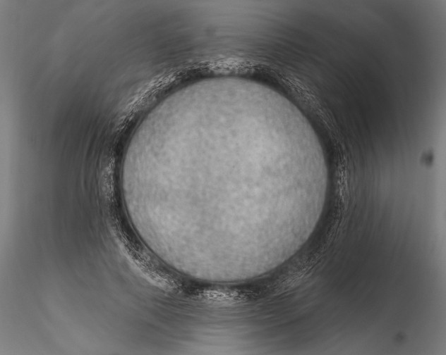 X0000115490690200912041016