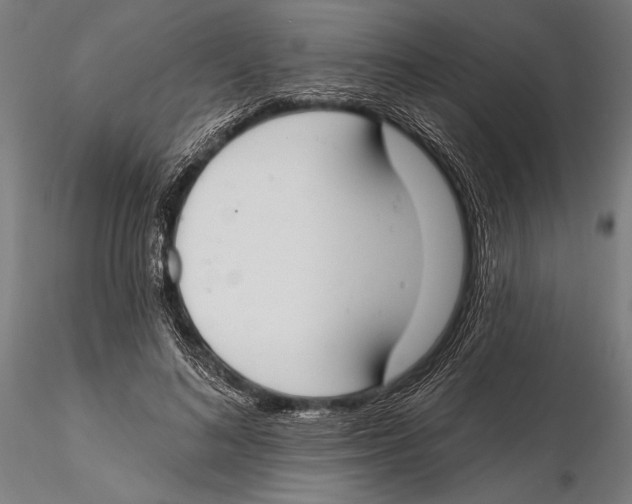 X0000115490692200912041016