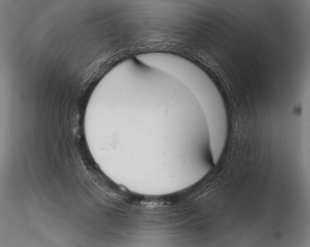 X0000115490693200912041016