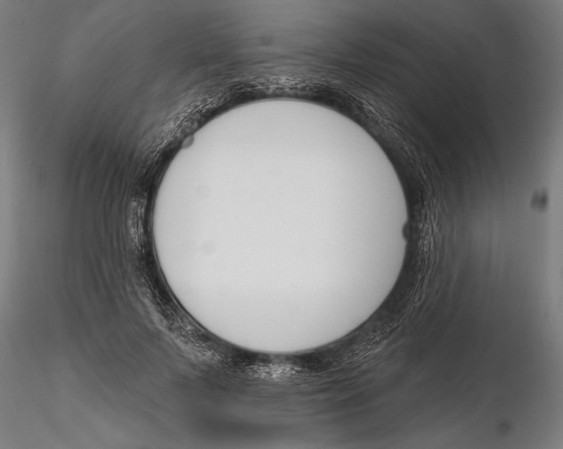 X0000115490695200912041016