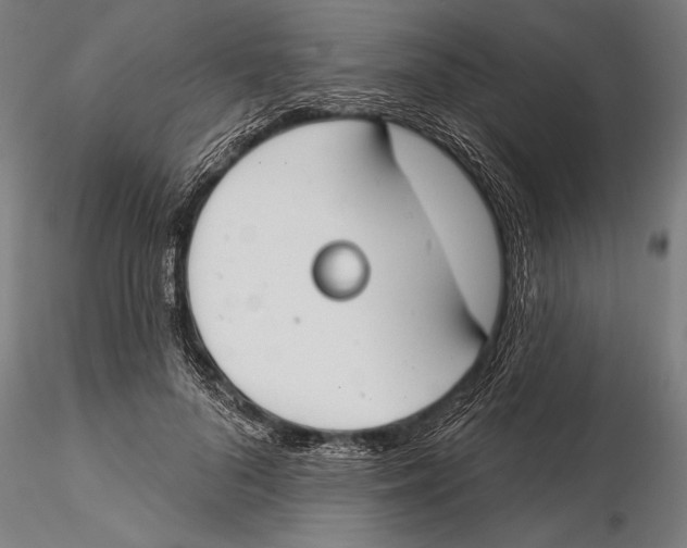 X0000115490696200912041016