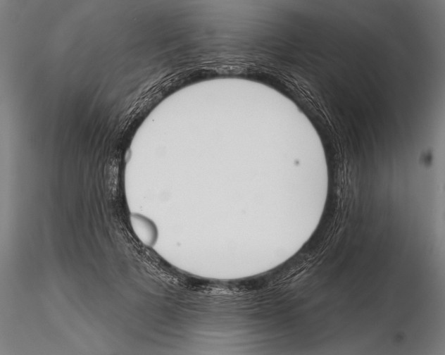 X0000115490697200912041016