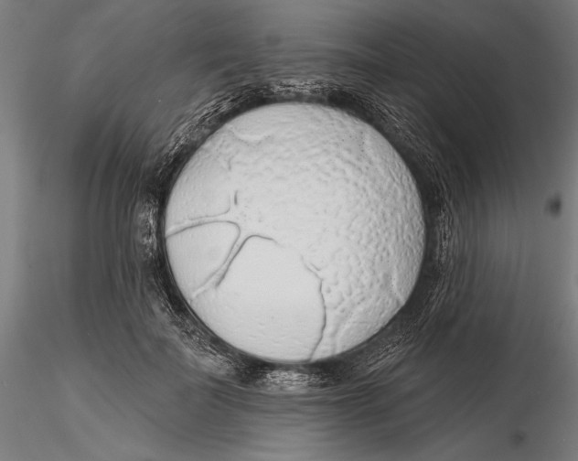 X0000115490699200912041016