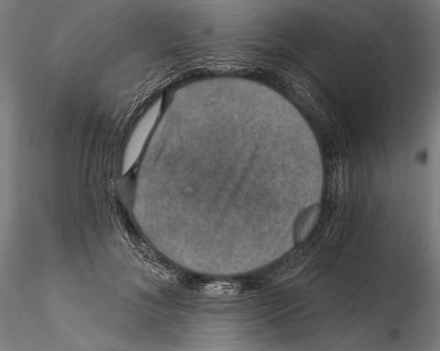 X0000115490700200912041016