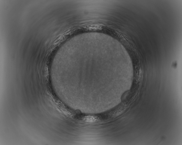 X0000115490704200912041016