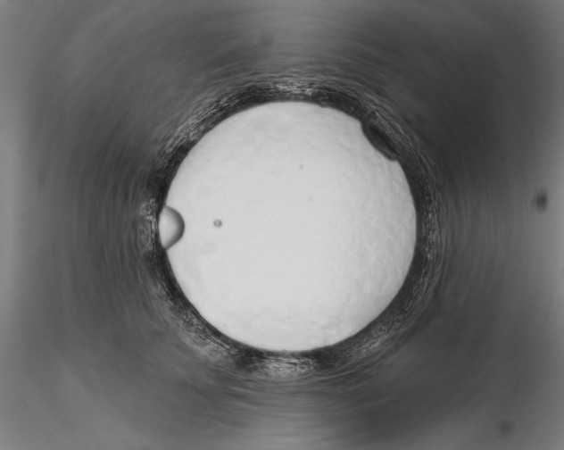 X0000115490707200912041016
