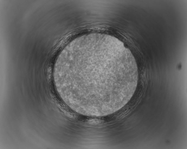X0000115490708200912041016