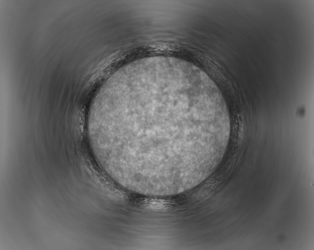 X0000115490710200912041016