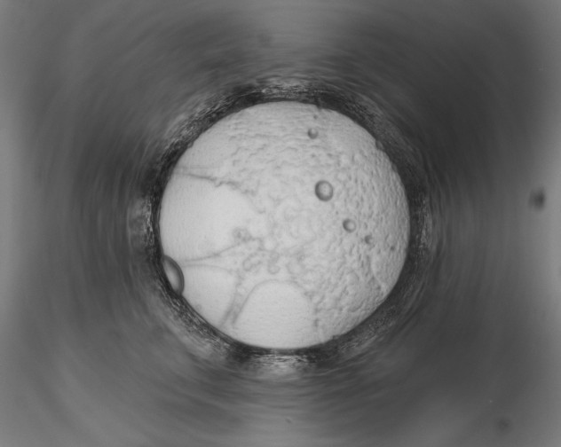 X0000115490711200912041016