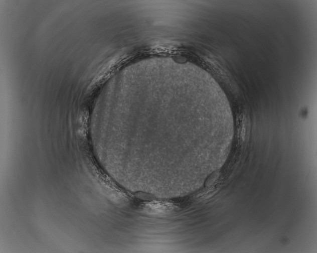 X0000115490712200912041016