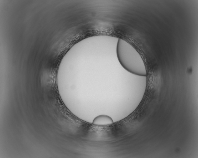 X0000115490713200912041016