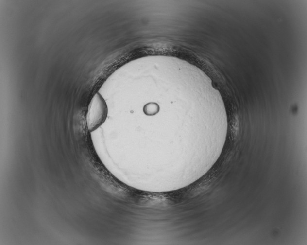 X0000115490715200912041015