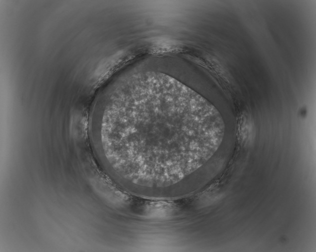 X0000115490716200912041015