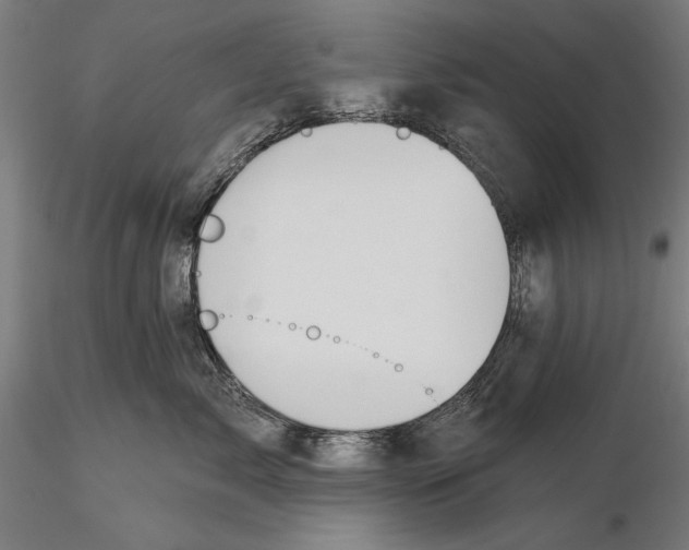 X0000115490717200912041015